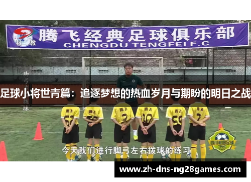 足球小将世青篇：追逐梦想的热血岁月与期盼的明日之战