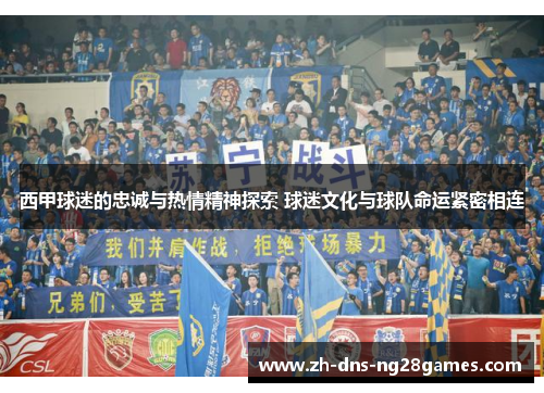 西甲球迷的忠诚与热情精神探索 球迷文化与球队命运紧密相连